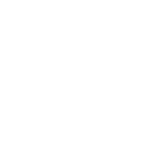 afteeeea-e1731777891672